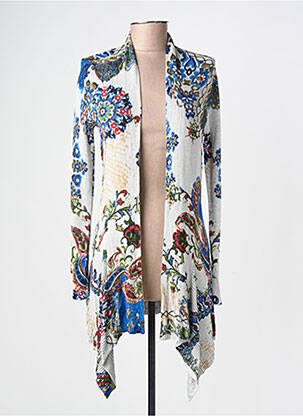Gilet manches longues col v bleu DESIGUAL femme