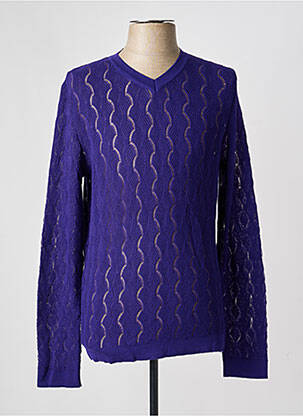Pull col v manches longues violet PIERRE TALAMON homme