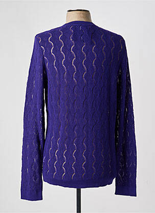 Pull col v manches longues violet PIERRE TALAMON homme