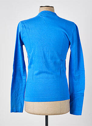 Pull col v manches longues bleu PIERRE TALAMON homme