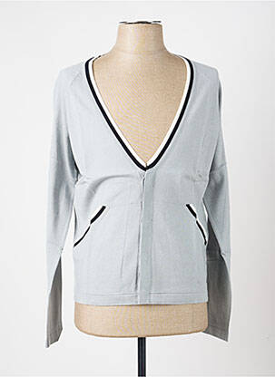 Gilet manches longues col v gris PIERRE TALAMON homme
