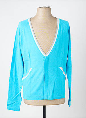 Gilet manches longues col v bleu PIERRE TALAMON homme