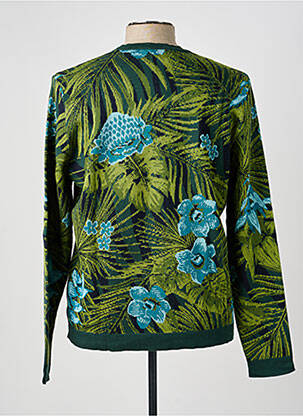 Pull stretch manches longues vert PIERRE TALAMON homme