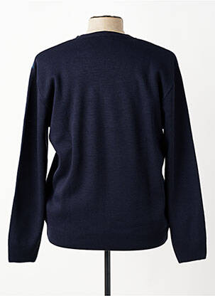 Pull col v manches longues bleu RHODAMEL homme