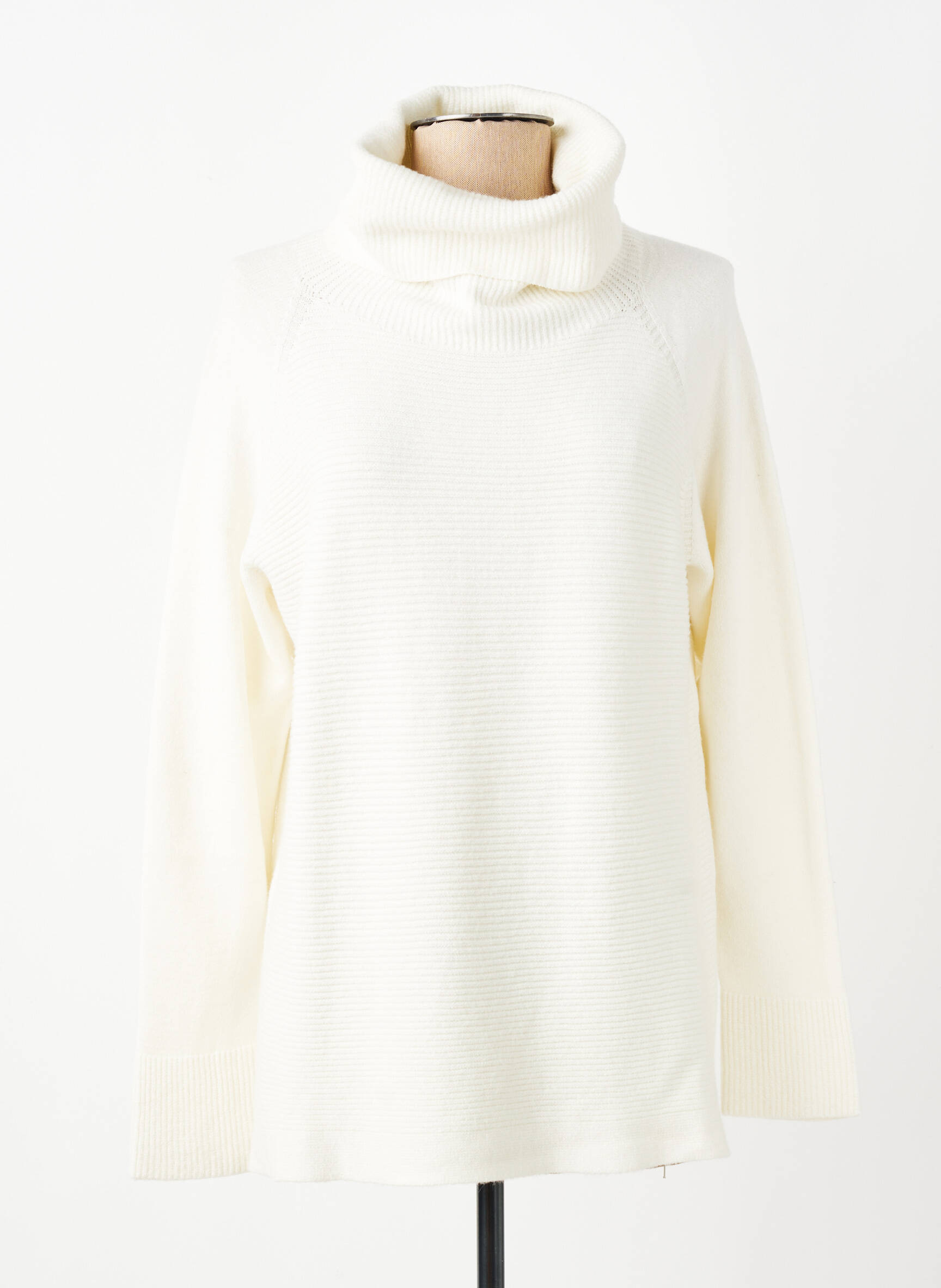 Pull col roulé coupe cintrée manches longues beige SIGNE NATURE femme