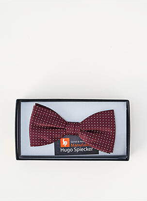 Noeud papillon imprimé pois marron HUGO SPIECKER homme