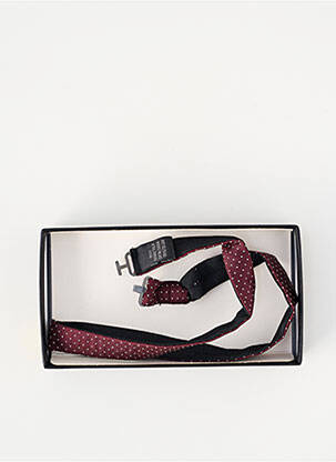 Noeud papillon imprimé pois marron HUGO SPIECKER homme