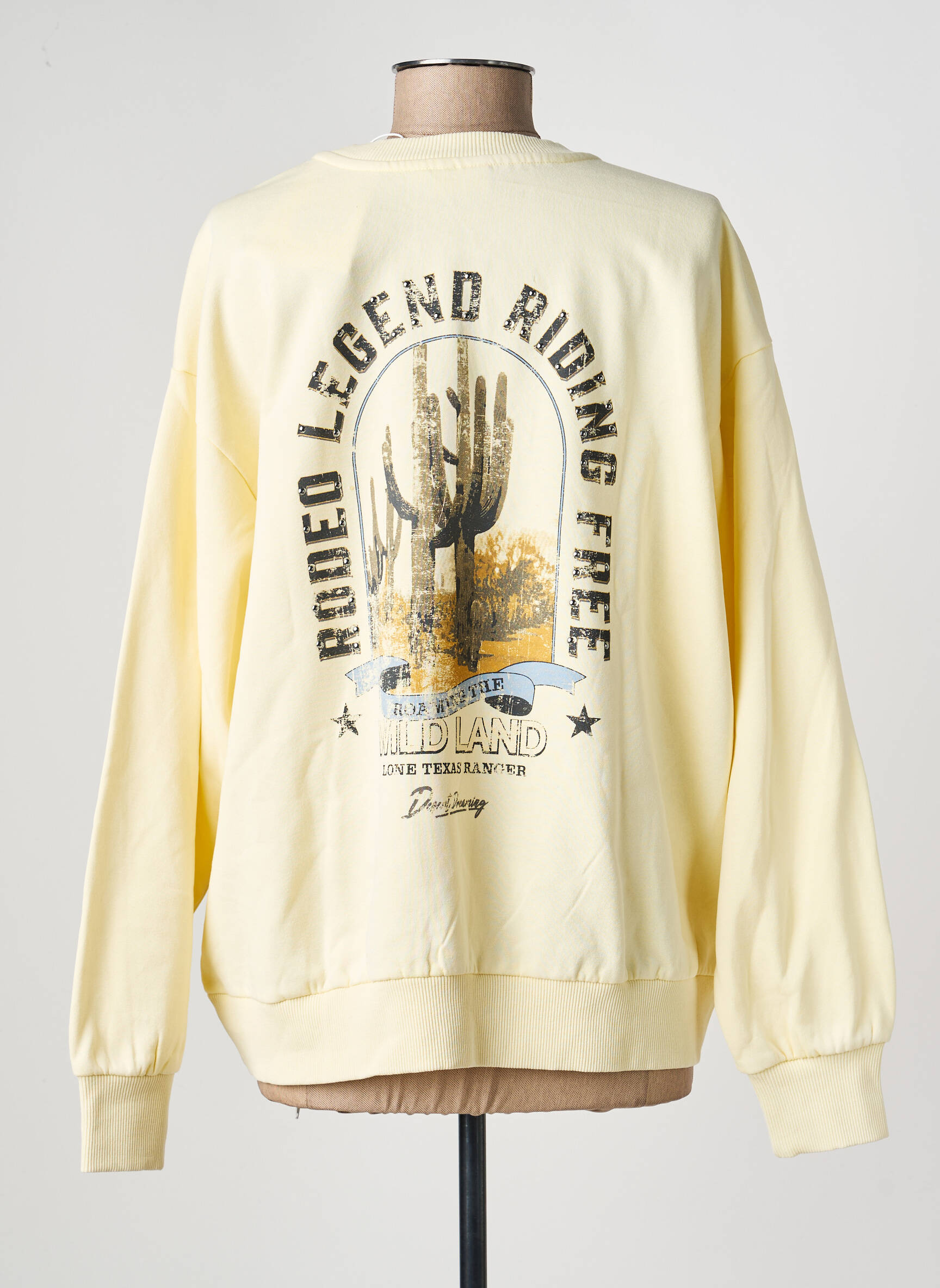 Sweat-shirt sérigraphie floquée manches longues beige ONLY femme