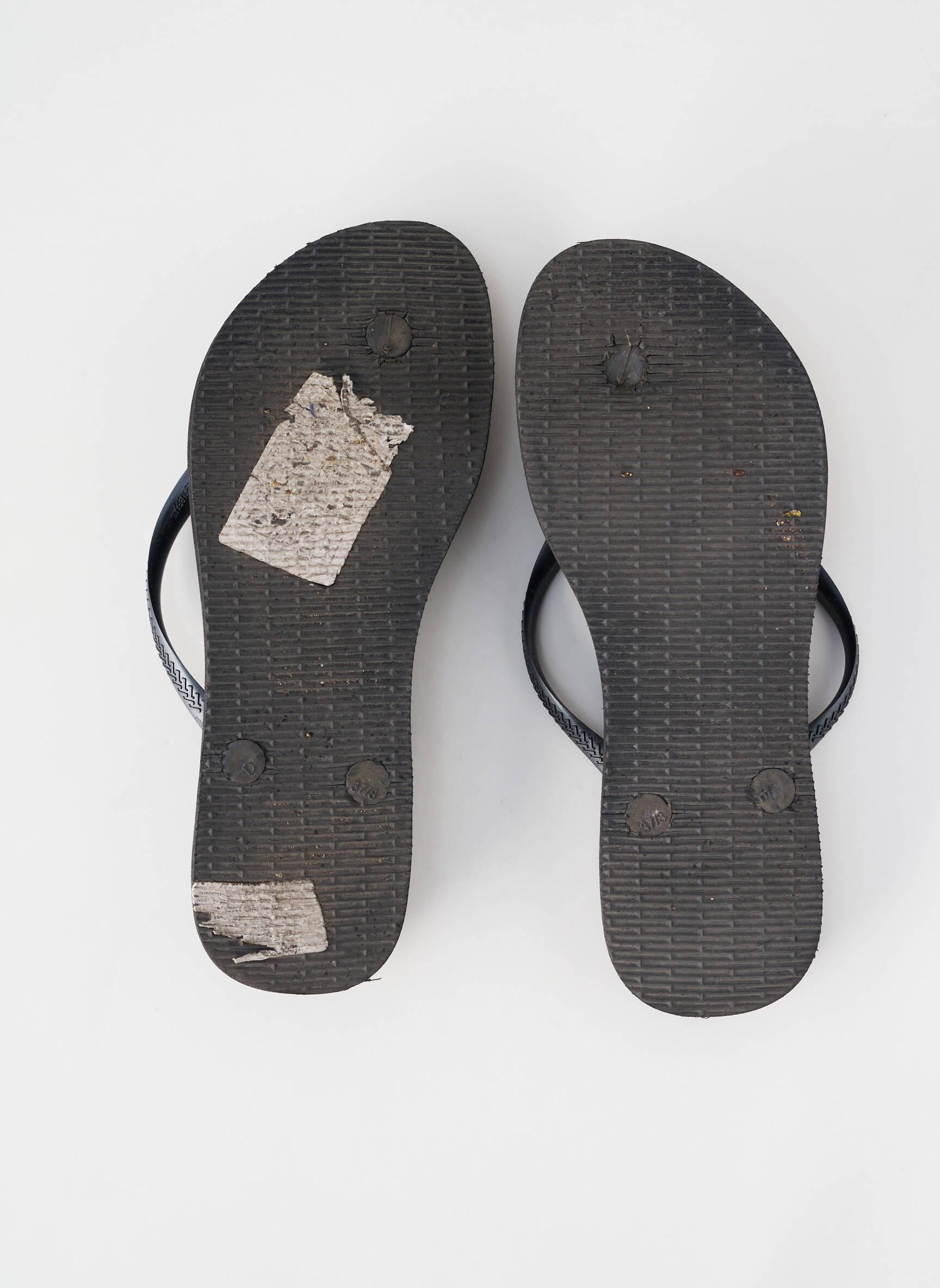 Tongs talon plat jusqu'à 3cm noir HAVAIANAS femme