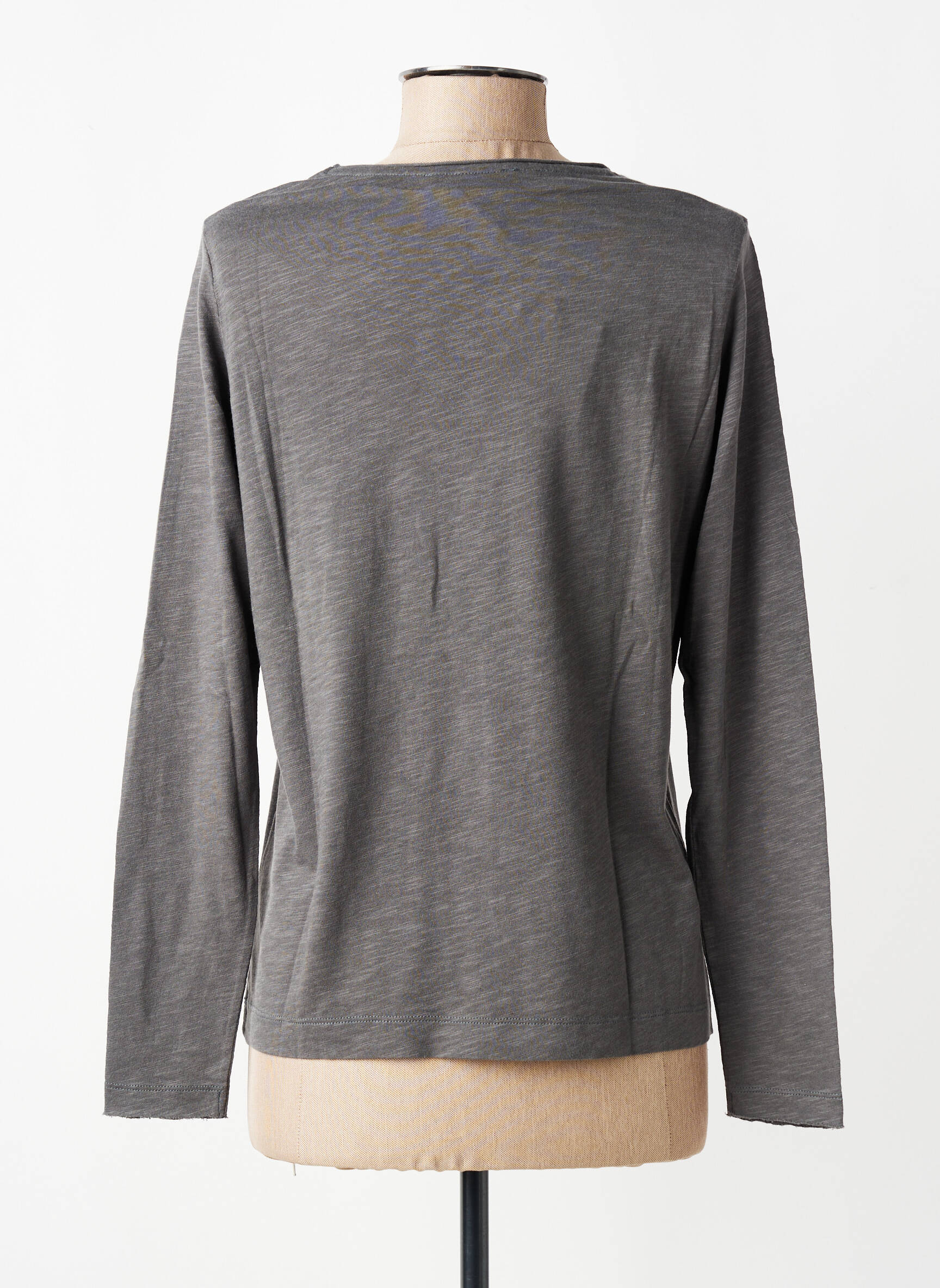 T-shirt manches longues manches longues gris DIPLODOCUS femme