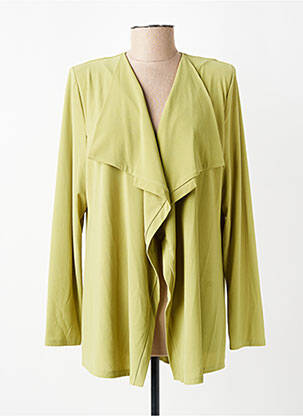 Gilet manches longues col v vert GEVANA femme