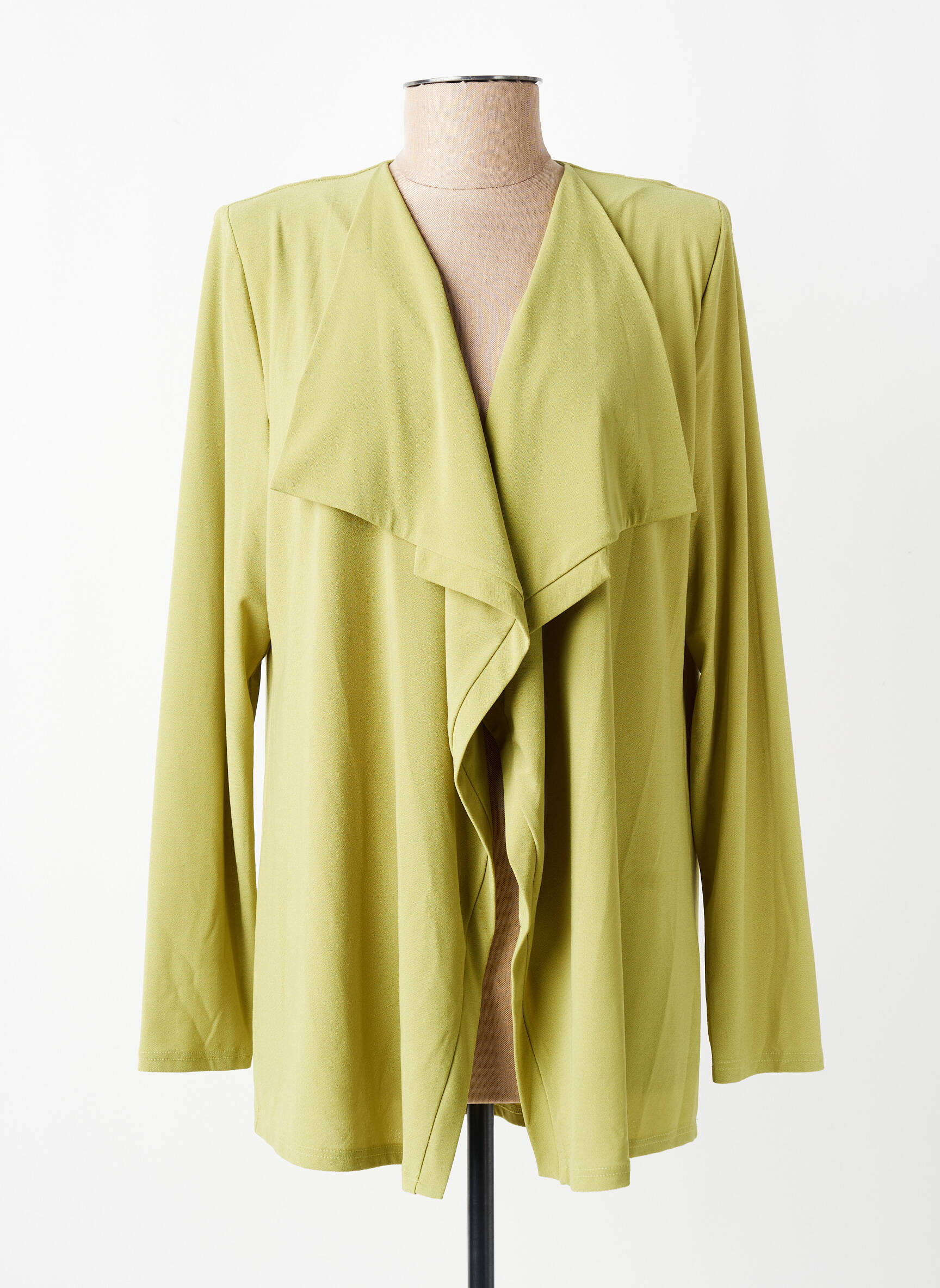Gilet manches longues col v vert GEVANA femme