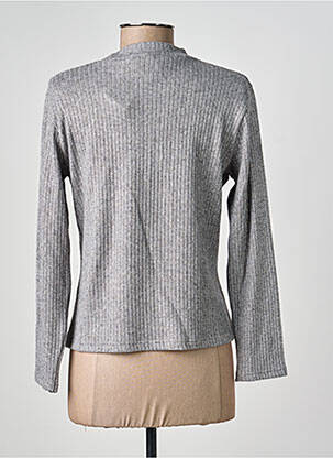 Pull coupe cintrée manches longues argent GEVANA femme