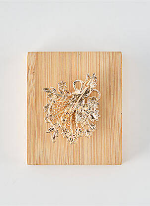Broche fermeture agrafe or TATA GISELE femme