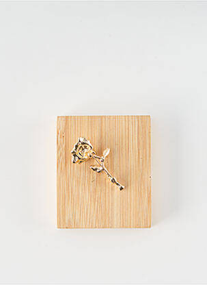 Broche fermeture crochet or TATA GISELE femme