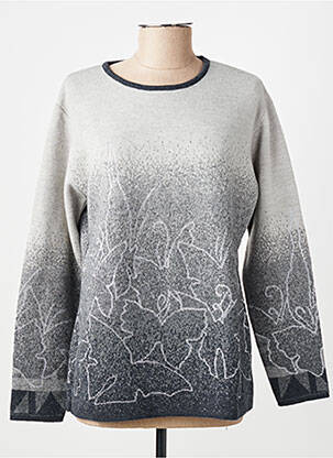 Pull coupe cintrée manches longues gris MONTAGUT femme