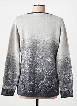 Pull coupe cintrée manches longues gris MONTAGUT femme