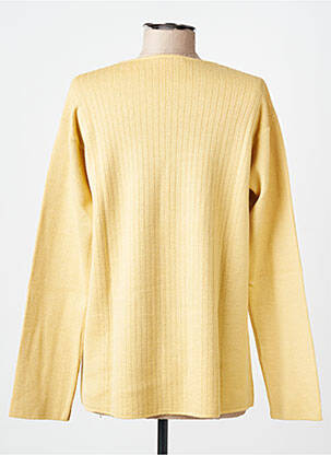 Pull coupe droite manches longues jaune MONTAGUT femme
