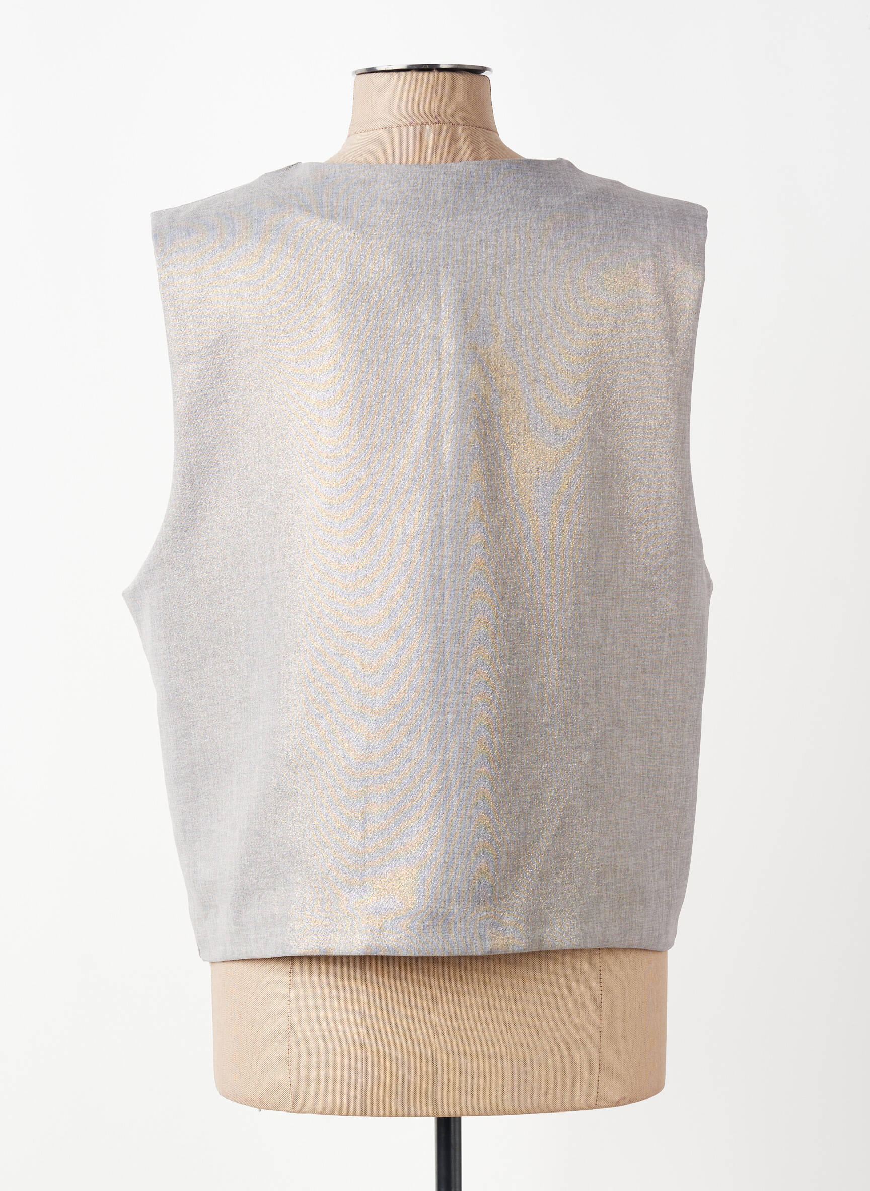 Gilet sans manche coupe droite gris MINA ROSA femme