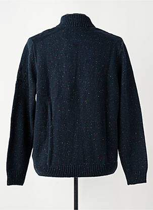 Pull maille tricot manches longues bleu DELAHAYE homme