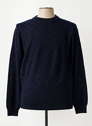 Pull col rond manches longues bleu DELAHAYE homme