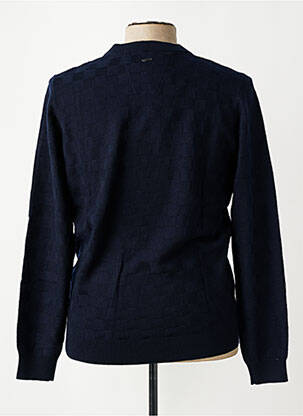 Pull col rond manches longues bleu DELAHAYE homme