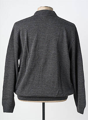 Pull col polo manches longues gris 20/20 homme
