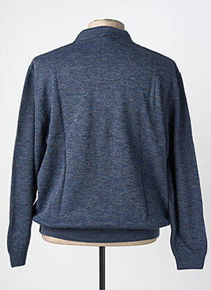 Pull col polo manches longues bleu 20/20 homme
