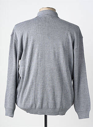 Pull coupe droite manches longues gris GRIFFON femme