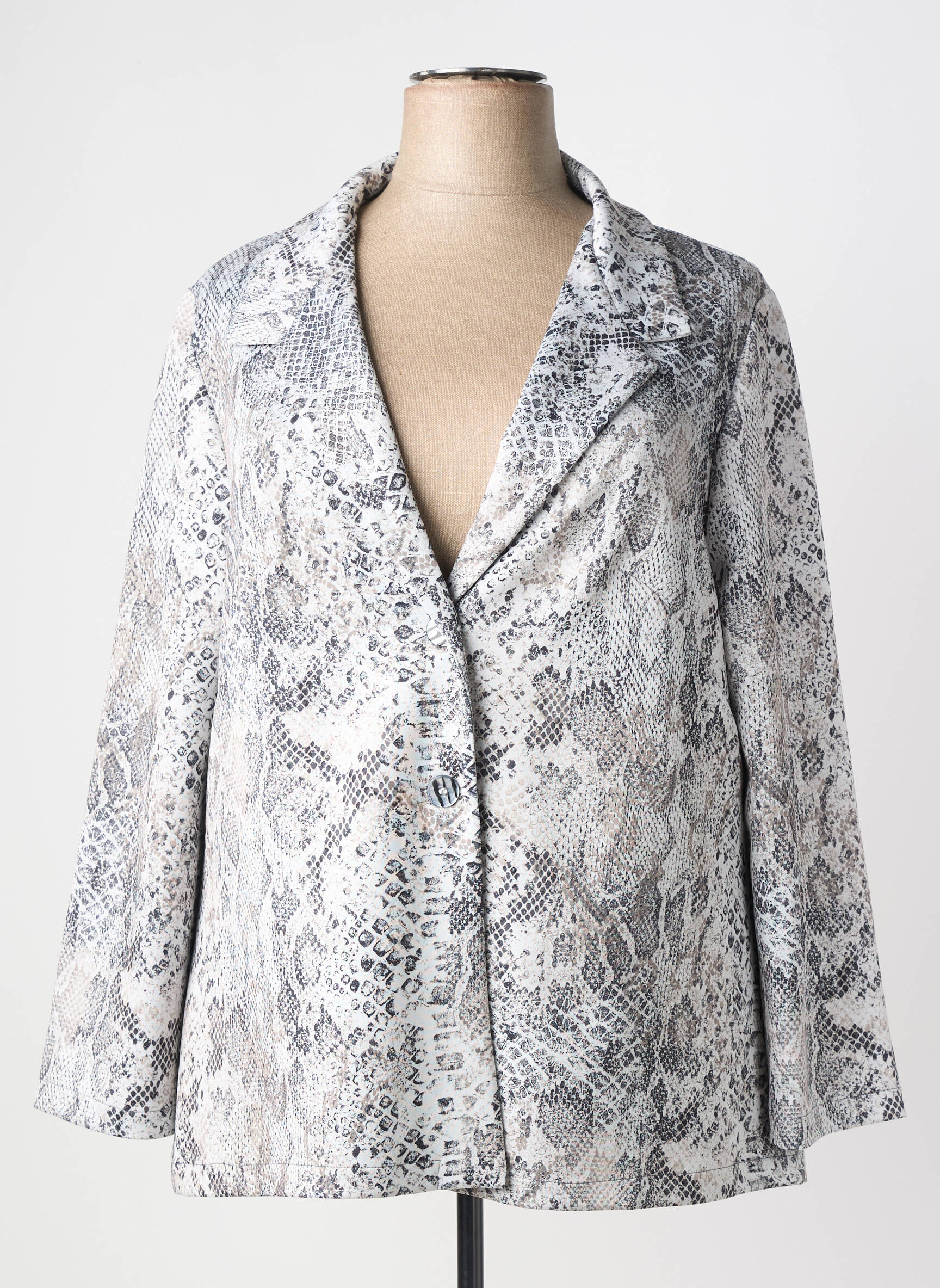 Blazer manches longues gris AN II VITO femme