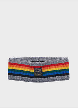 Accessoire pour cheveux gris SUPERDRY femme