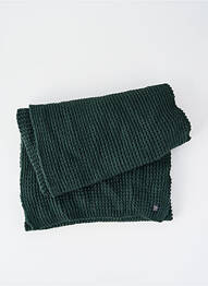 Echarpe vert PETROL INDUSTRIES homme