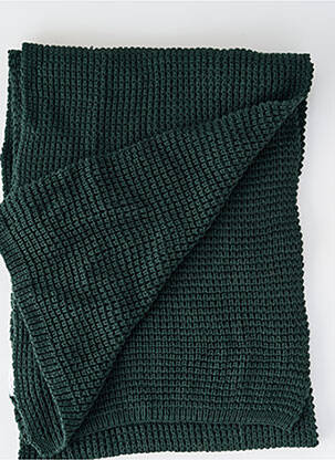 Echarpe vert PETROL INDUSTRIES homme