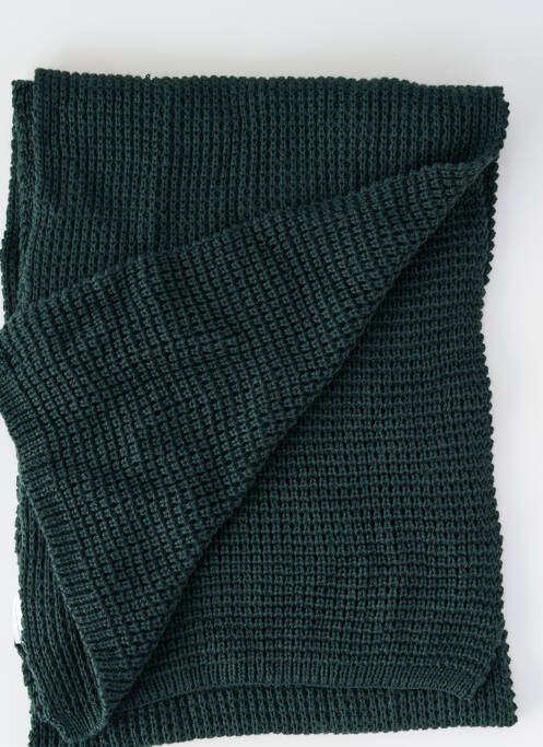 Echarpe vert PETROL INDUSTRIES homme