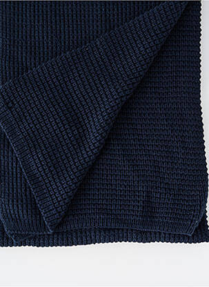 Echarpe bleu PETROL INDUSTRIES homme