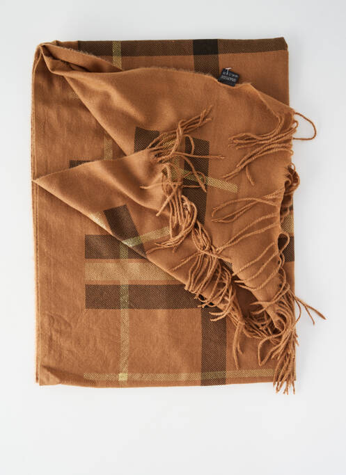 Echarpe marron DODI femme
