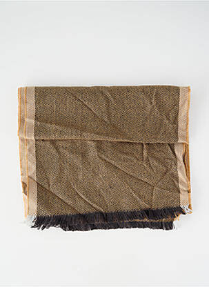 Echarpe marron DELAHAYE homme