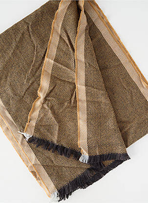 Echarpe marron DELAHAYE homme