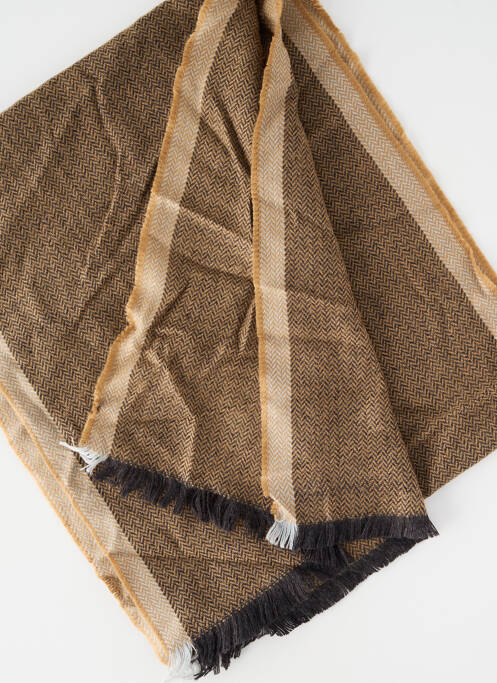 Echarpe marron DELAHAYE homme