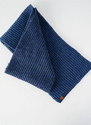 Echarpe bleu BARTS homme