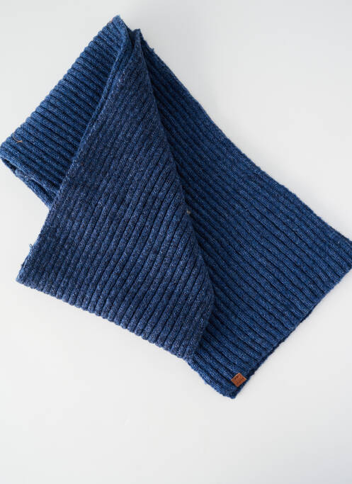 Echarpe bleu BARTS homme