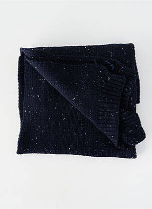 Echarpe bleu PETROL INDUSTRIES homme
