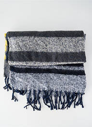 Echarpe bleu BARTS femme