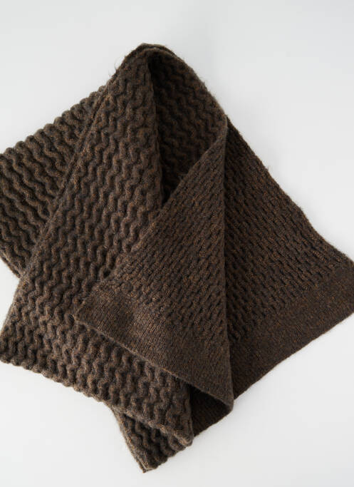 Echarpe vert BARTS femme