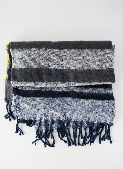 Echarpe bleu BARTS femme