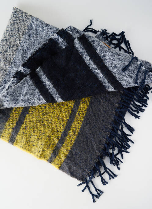 Echarpe bleu BARTS femme