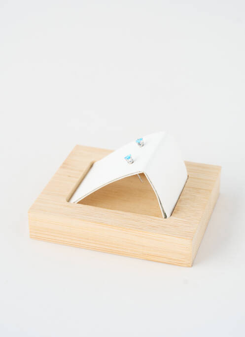 Boucles d’oreilles bleu TWICE AS NICE femme