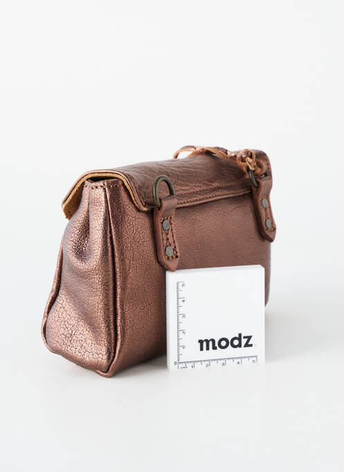 Sac marron PAUL MARIUS femme