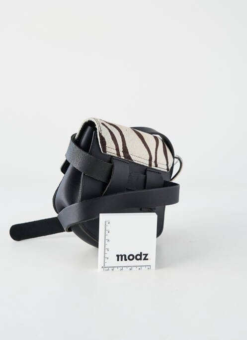 Sac noir COBACHELLA femme