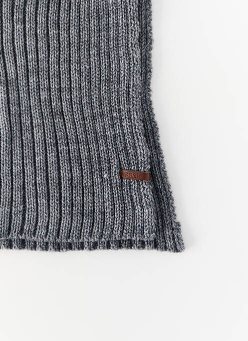 Echarpe gris BARTS homme